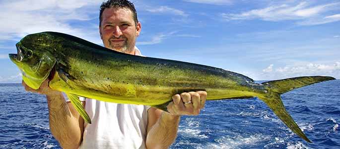 Hawaii Fishing Half Day Sport Private Charter