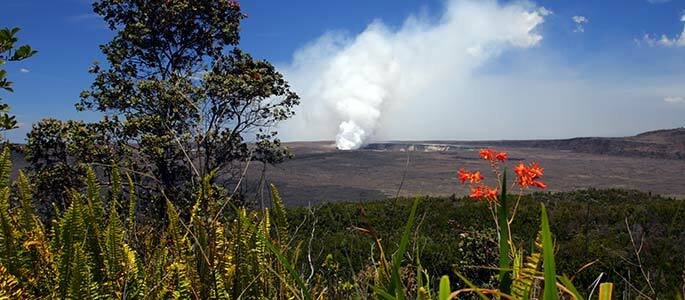 Hawaii Volcano Eco-Adventure & Helicopter Tour from Oahu