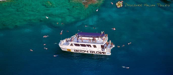 Snorkel Big Island Morning Dolphin Adventure