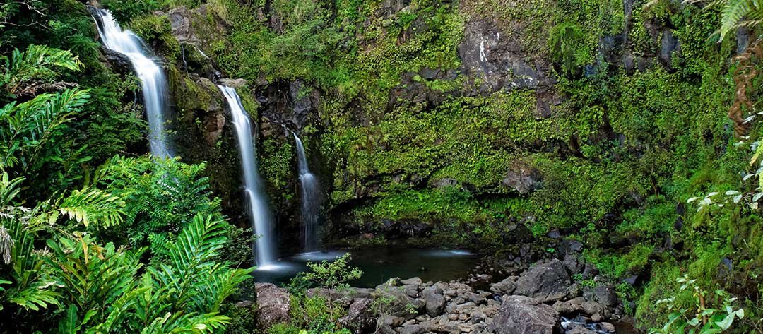 Road to Hana Maui