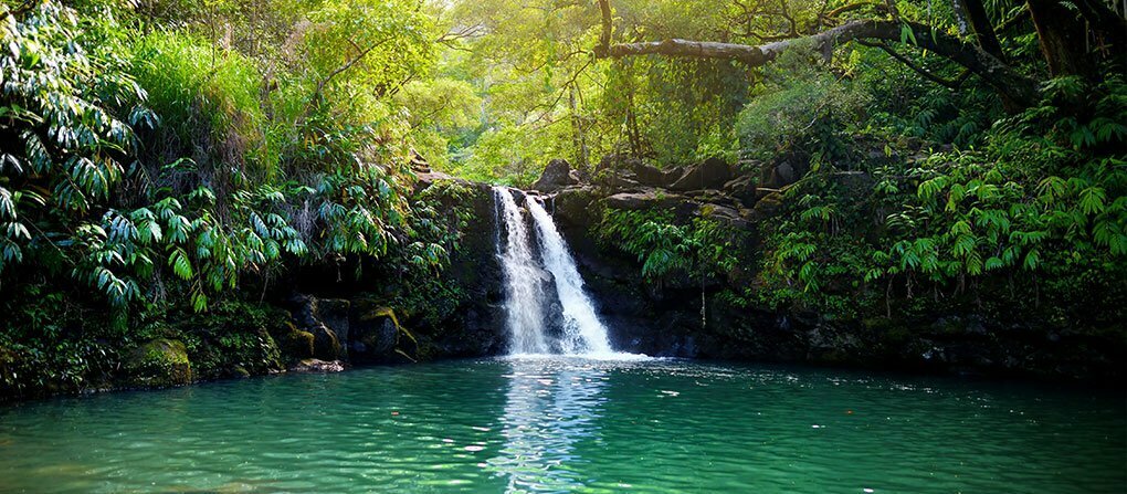 Road to Hana Maui Rainforest Waterfalls Excursion