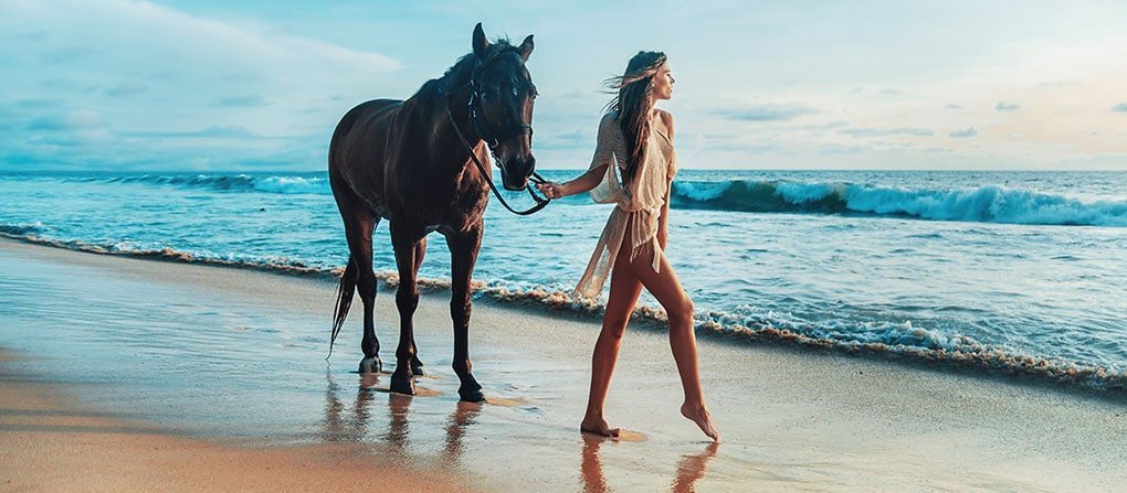 Famous North Shore Beaches Hawaii Horseback Riding