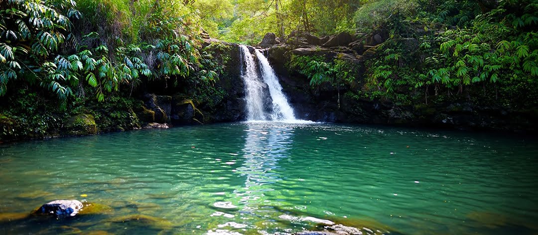 Hawaii tours and activities