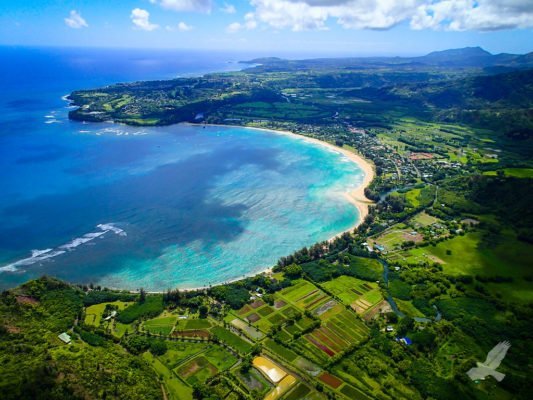 Ultimate Hawaii Vacation Packing List